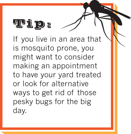 mosquito-tip