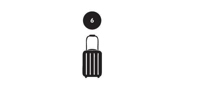 6-luggage