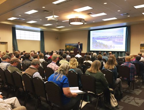 Montana Storm Water Conference
